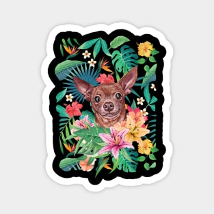 Tropical Short Haired Chocolate Chihuahua Magnet