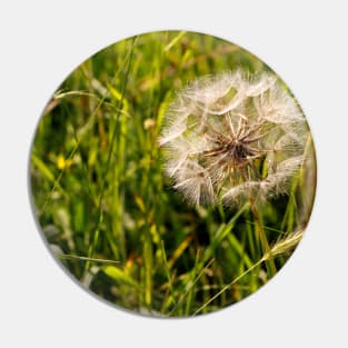 Dandelion Seed Pin