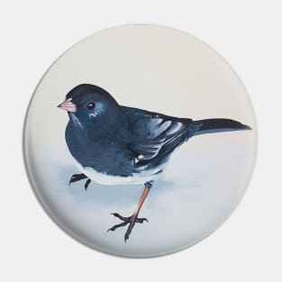 Dark-eyed Junco bird painting Pin