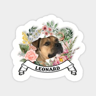 Leonard Magnet