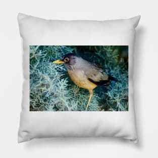 cli portrait Pillow