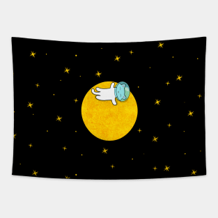 Cat And Moon Tapestry