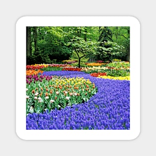 Flowers at a garden (B630/0051) Magnet