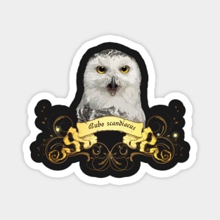 Snowy owl Magnet