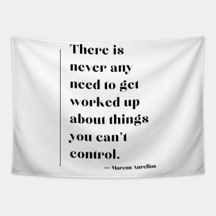 “There is never any need to get worked up about things you can't control.” Marcus Aurelius Tapestry