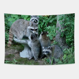 Raccoon Mom with 4 Kits Tapestry