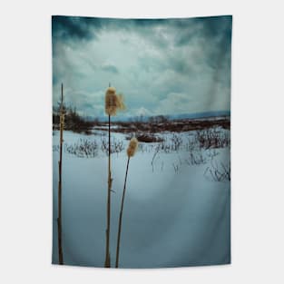 Winter's Dramatic Ballet V1 Tapestry