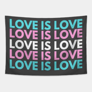 Trans Pride T-Shirt Love is Love Shirt Transgender Pride Tshirt LGBTQ apparel Trans T-shirt Transgender Equality Shirt Pride Month Gift Tapestry