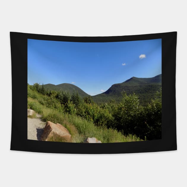 Kancamagus Highway, White Mountains, New Hampshire, US Tapestry by allthumbs