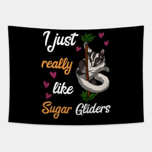 I Just Really Like Sugar Gliders Funny Pet Tapestry