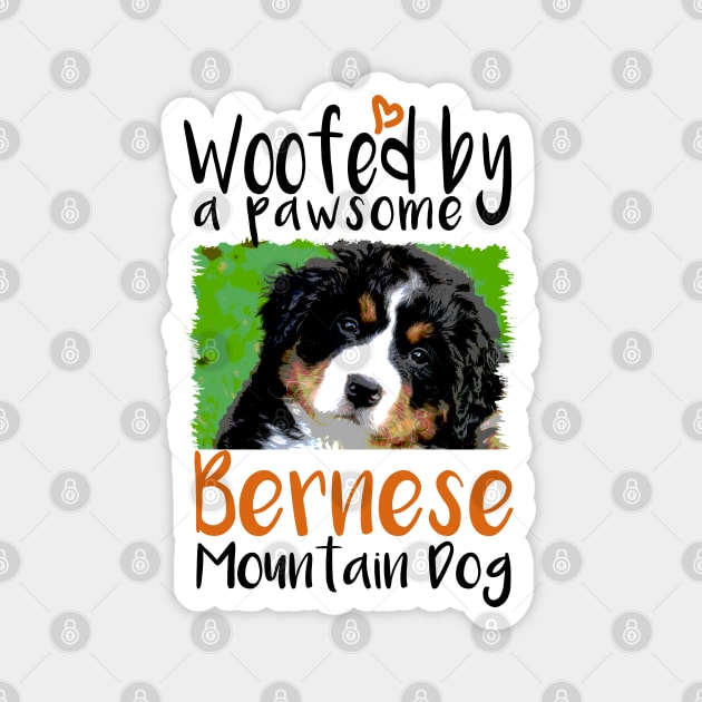 Bernese Mountain Dog Face Magnet by VanTees