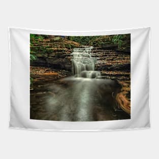 Lower Mill Creek Tapestry