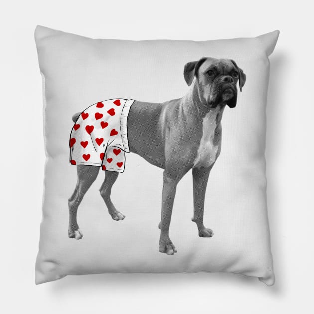 Boxer Pillow by StevenRice