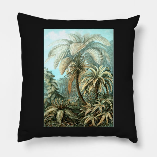 Botanical, vintage, ferns, palm trees, rainforest Pillow by SouthPrints