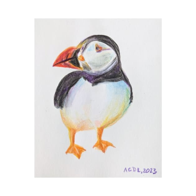 Puffin - drawing with color pencils by acdlart