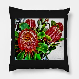 Stocksom Albany Banksias Pillow