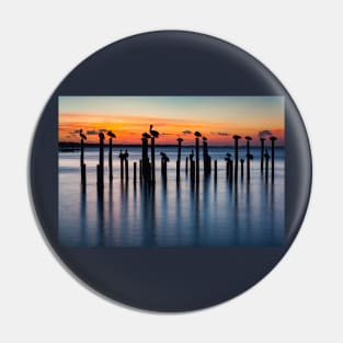 Pelican Silhouettes at Sunset Pin