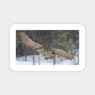 Incoming! - Great Grey Owl Magnet