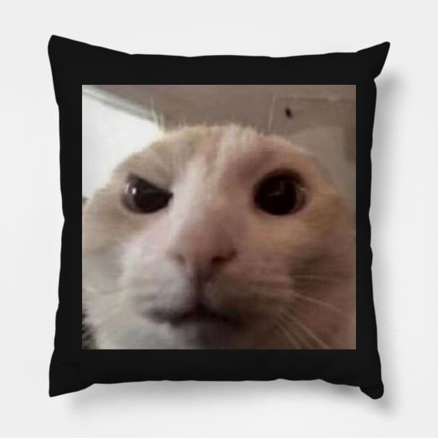 The Rock Meme - Cat Version Pillow by YourRequests