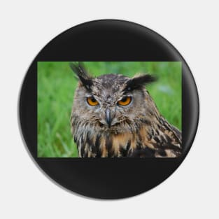 european eagle owl Pin