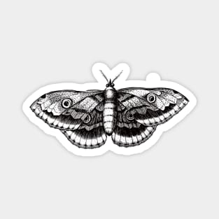 Dramabite Vintage butterfly illustration Magnet