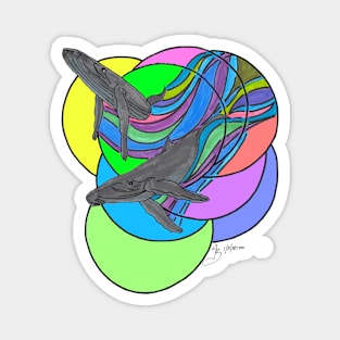 Whale Duo swimming through Circles Magnet