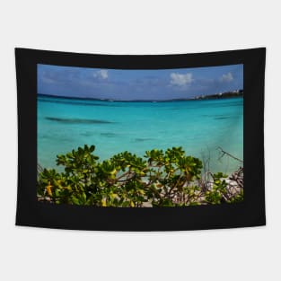 Anguilla Shoal Bay  Blue Water Tapestry