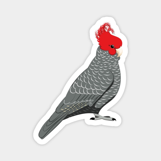 Gang gang cockatoo Magnet by Zolinstudio