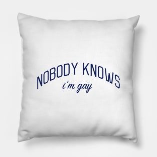 Nobody Knows I'm Gay - Closeted or Passing Shirt Pillow