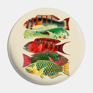 Tropical Fish Pin