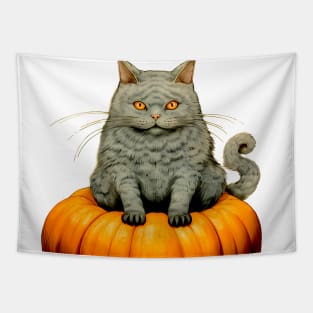 Japanese Cat on a Halloween Pumpkin During the Halloween Season on a light (knocked out) background Tapestry