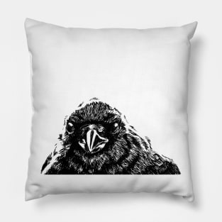 Interaction with crow Pillow