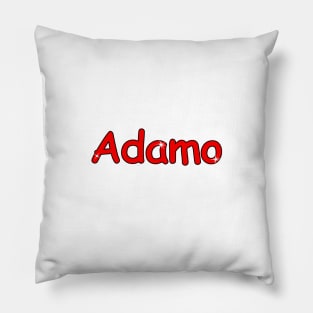 Adamo name. Personalized gift for birthday your friend. Pillow