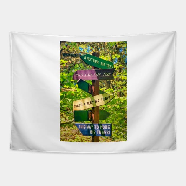 Big Trees Everywhere Land of the Giants Tapestry by jforno