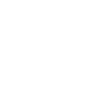 Mentally Stable Genius Magnet