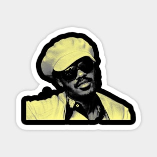 Stevie Wonder RnB Retro Grey Magnet