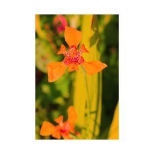 Orange lily blossom on yellow background T-Shirt