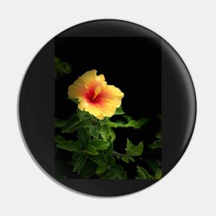 Mai Tai Hibiscus Portrait Pin