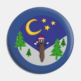 Mr Hankey's Christmas Pin