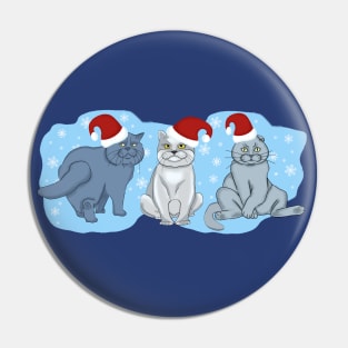 Christmas cats. Three cats on a blue background with snowflakes. Pin