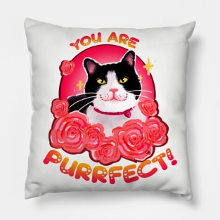 Purrfect! Pillow