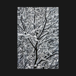 Snow Covered Winter Tree Branches T-Shirt
