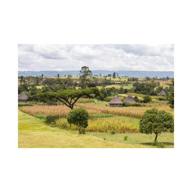 Rural Ethiopian landscape (C024/6044) by SciencePhoto