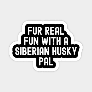 Fur Real Fun with a Siberian Husky Magnet