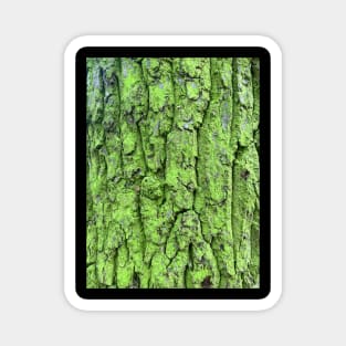 Verdant, moss green tree bark, Mug, Wall Art Magnet