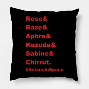 Representation Matters Pillow