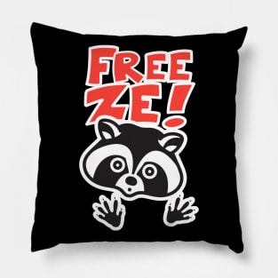 Raccoon Freeze Pillow