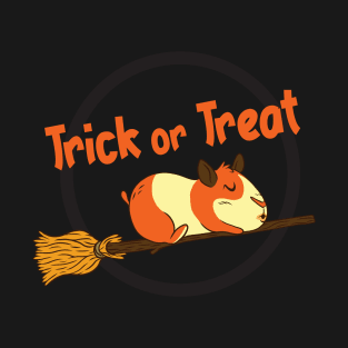 Hamster On Broom Trick Or Treat T-Shirt