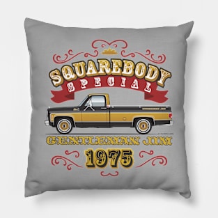 Squarebody Special Pillow