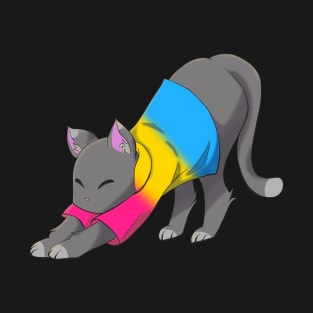 Pansexual cat stretching T-Shirt